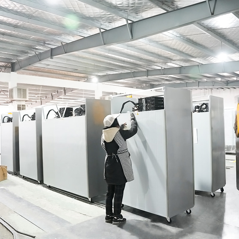 ワークショップ